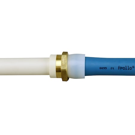 Apollo 3/4 in. Brass PEX-A Barb x 3/4 in. Schedule 40 PVC Straight Adapter EPXPVC34